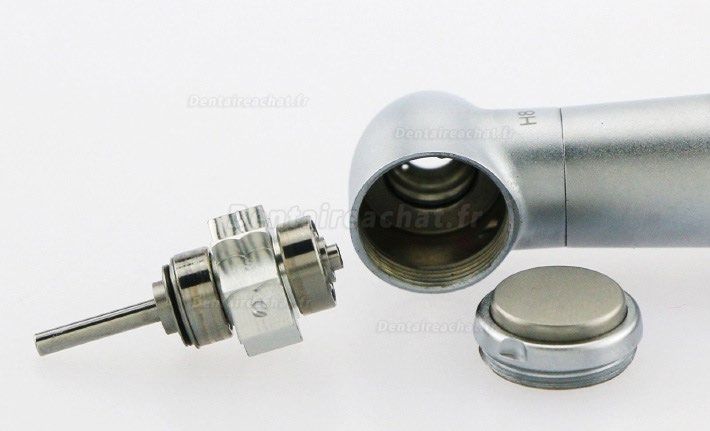 YUSENDENT® CX207-GW-SP turbine dentaire tête standard avec lumiere compatible W&H (sans raccord rapide)